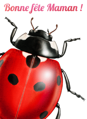 Coccinelle amicale pour c&eacute;l&eacute;brer maman